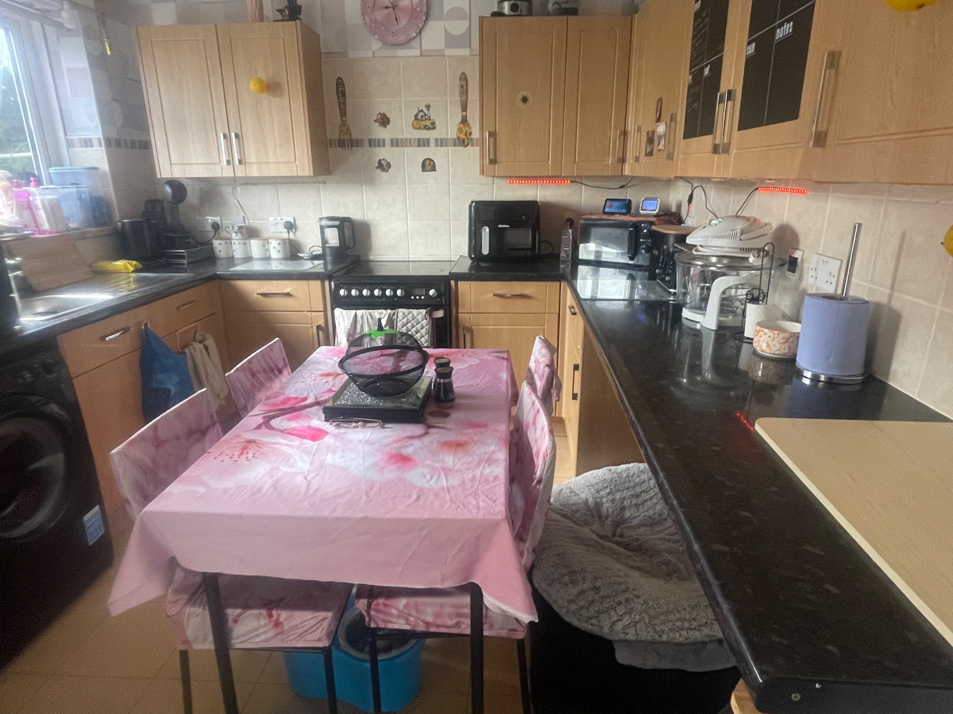 Regular House Cleaning